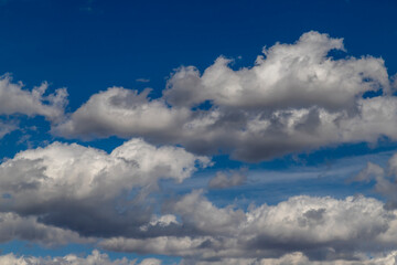 Naklejka na ściany i meble White cumulus clouds on a clear blue sky.