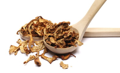 Dried chanterelle mushroom in wooden spoon, (Cantharellus cibarius) isolated on white