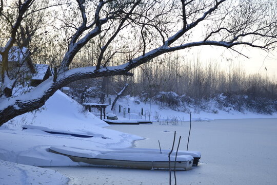 Panorama of a frozen lake and snow-covered trees, in Novi Sad, Serbia.