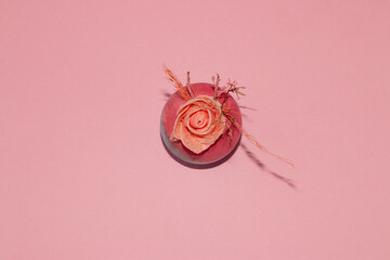 a colorful egg with a pink rose on it on a pink background with copy space