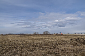 A Vast Wheat Field with Clouds Rolling Above