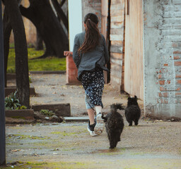 Ni&ntilde;a jugando con cachorros perros al aire libre en la calle