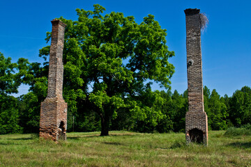 View of two columns erected in a forested area against a bright blue sky