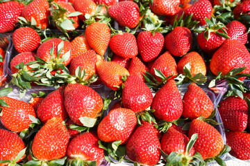 Fresh strawberries in the local market