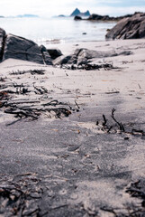 Black and white sanded beach at Lofoten, Norway with rocks and Ocean in the  background