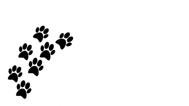 Black dog paw footprints appearing on white background.