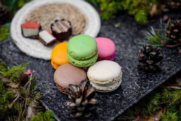 Colorful macaroon cookies and chocolate candies, picnic in the forest