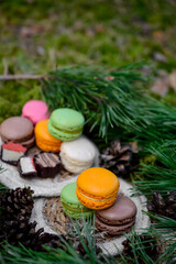 Colorful macaroon cookies and chocolate candies, picnic in the forest