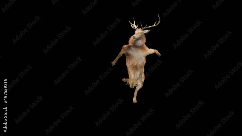 Wall mural deer dancing cg fur 3d rendering animal realistic cgi vfx animation loop composition 3d mapping cart