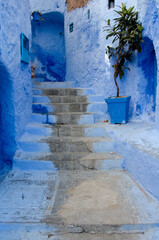 Calle con escaleras en Chaouen, Marruecos, turismo en pueblo azul encalado - 497559958