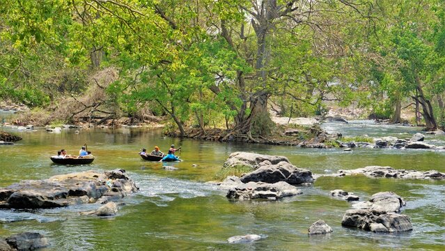 Tourists enjoying Boating ride in parisal or coracle to view beautiful scenery and breathtaking waterfalls. Tourist place 120 kilometres from Bangalore City. Best one day picnic spot.