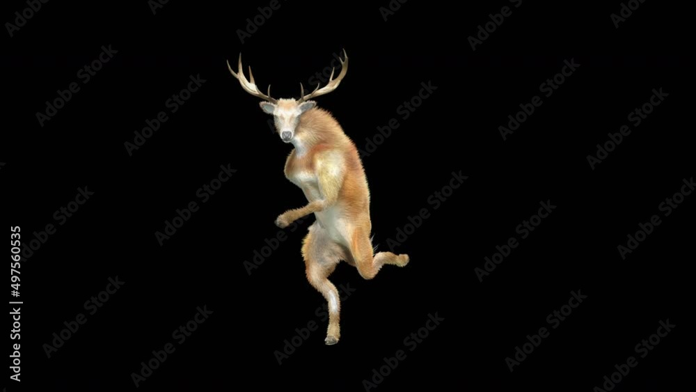 Wall mural deer dancing cg fur 3d rendering animal realistic cgi vfx animation loop composition 3d mapping cart