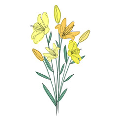 Vector bouquet of yellow lilies. Flowers for decor or design
