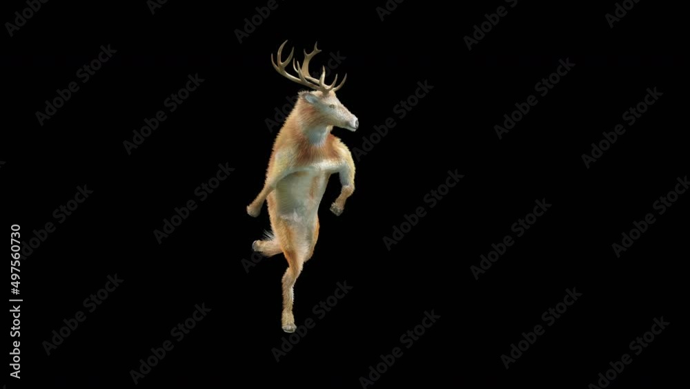 Wall mural deer dancing cg fur 3d rendering animal realistic cgi vfx animation loop composition 3d mapping cart
