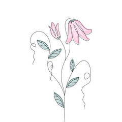 Vector pink bellflower with outlined silhouette isolated on white background. Design for Logo, business card, flyer.