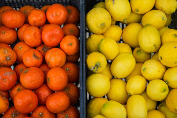 freshly picked oranges and lemons for sale in baskets, close up.