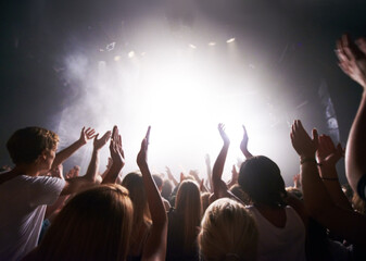 Satisfying their adoring fans. Rear-view of a crowd cheering at a concert- This concert was created...