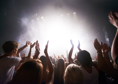 Satisfying their adoring fans. Rear-view of a crowd cheering at a concert- This concert was created for the sole purpose of this photo shoot, featuring 300 models and 3 live bands. All people in this