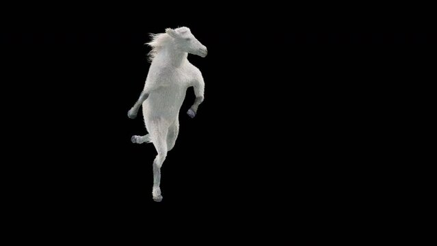 White Horse Dancing, 3d rendering, Animation Loop, cartoon, included in the end of the clip with Alpha matte.