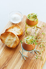 Soft boiled egg microgreens with croutons on a wooden board.Breakfast concept.