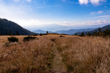 Panoramic view on Mur valley from Seckauer Zinken in the Lower Tauern in Styria, Austria, Europe. Sunny golden autumn day in Seckau Alps. Hiking trail on dry and bare grassland terrain. Soft hills
