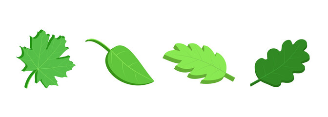 Green leaves 3d. Tree leaf isometric set. Vector clipart isolated on white background.