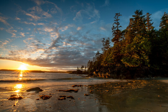 Beautiful summer sunset at Halfmoon Bay in Vancouver Island, BC Canada with trees around the water