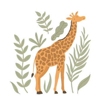 vector image of a cute giraffe and leafes