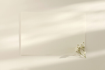 Empty Blank texture canvas paper card with copy space for your text message and gypsophila flower. Light and shadows minimalism style template background. Flat lay, top view.