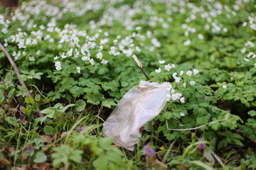 Garbage lying in the woods in the middle of spring flowers. Environmental pollution. Ecological...