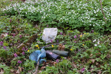 Garbage lying in the woods in the middle of spring flowers. Environmental pollution. Ecological problems. Landfill in the woods bottle, polyethylene