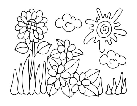 Sunflower landscape coloring page on a sunny summer day. Flowers in the grass. Flower field. Hand drawn vector line drawing. Coloring book for children and adults. Black and white sketch.