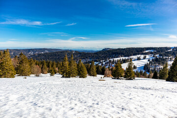 Entdeckungstour auf den Feldberg im Schwarzwald - Baden-Württemberg - Deutschland