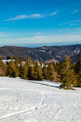 Entdeckungstour auf den Feldberg im Schwarzwald - Baden-Württemberg - Deutschland