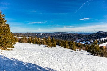 Entdeckungstour auf den Feldberg im Schwarzwald - Baden-Württemberg - Deutschland