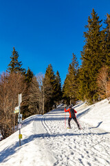 Fototapeta premium Entdeckungstour auf den Feldberg im Schwarzwald - Baden-Württemberg - Deutschland