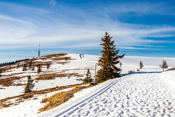 Entdeckungstour auf den Feldberg im Schwarzwald - Baden-Württemberg - Deutschland