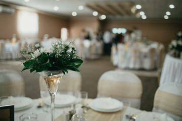 Table decoration for a special occasion - white plates and green plants. Eco/nature friendly decoration. 