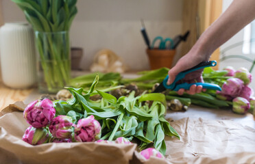 Woman seller cuts stems of bright flowers with a secateurs. Work with fresh plants behind the counter, close-up. Small Business - Flower Workshop