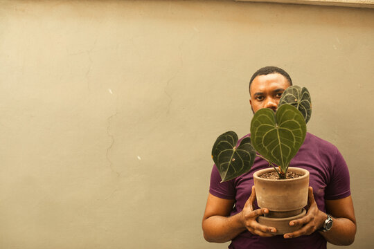 Portrait of a black gardener holding a green plant