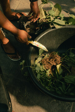 Young black man wearing casual clothes gardening at home 
