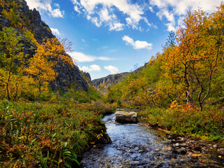 River in the Khibiny mountains in autumn. Autumn landscape