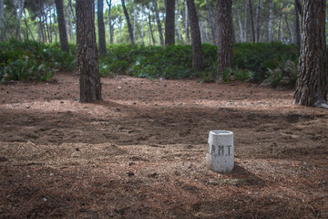 Stone in Woods