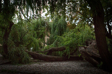Architektura i budynki Gdańska w dzień i w nocy, ulica długa, Motława, nocne neony.