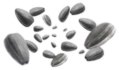 Flying sunflower black seeds, isolated on white background