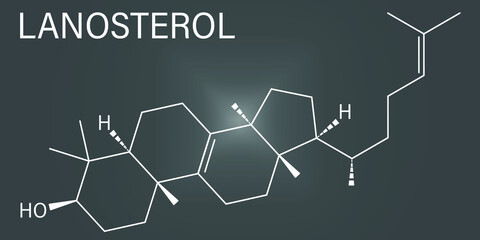 Lanosterol molecule. Investigated for treatment of cataract. Skeletal formula.