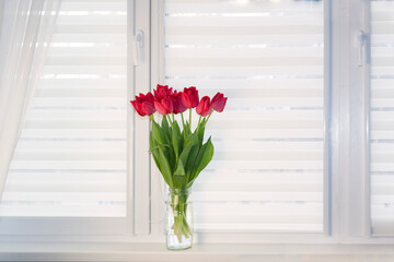 Window roller system day and night, fabric roller blinds.