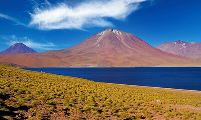 Scenic view on lonely dry arid valley with grass tufts, in andes mountains, altiplanic miscanti brackish deep blue water lake, volcano peak - Atacama desert, Chile