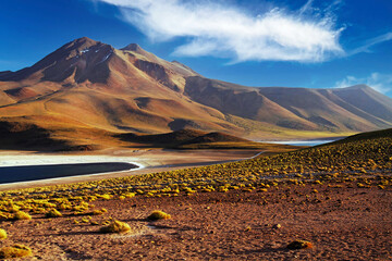 Scenic view on beautiful landscape lonely dry arid valley with grass tufts in andes mountains ,...