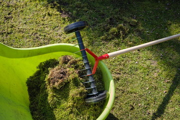 Fototapeta na wymiar Garden tool and bucket full of moss